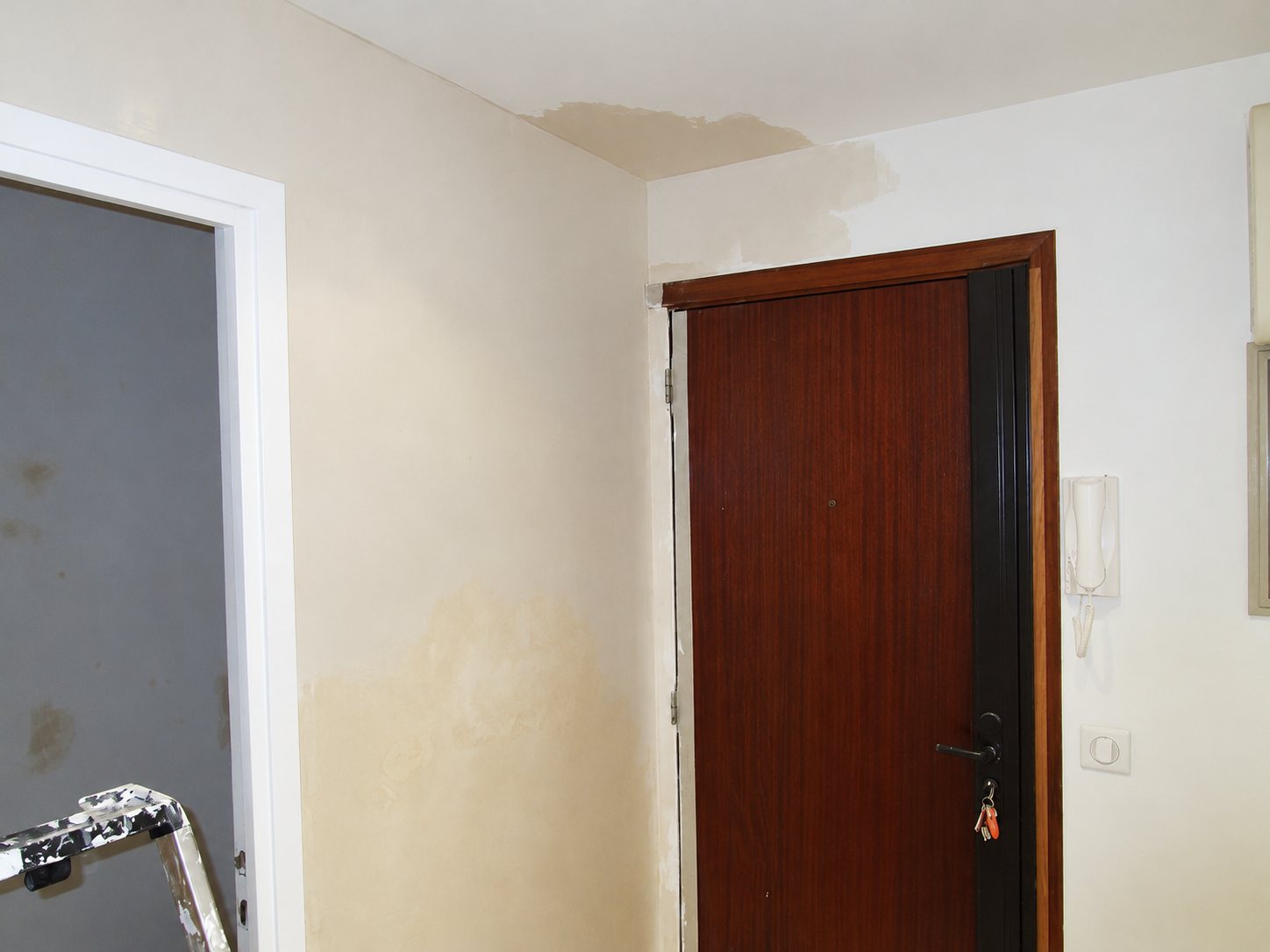 Entrée d'un appartement en cours de rénovation, avec murs partiellement repeints, une porte en bois foncé, un interphone et un escabeau taché de peinture.