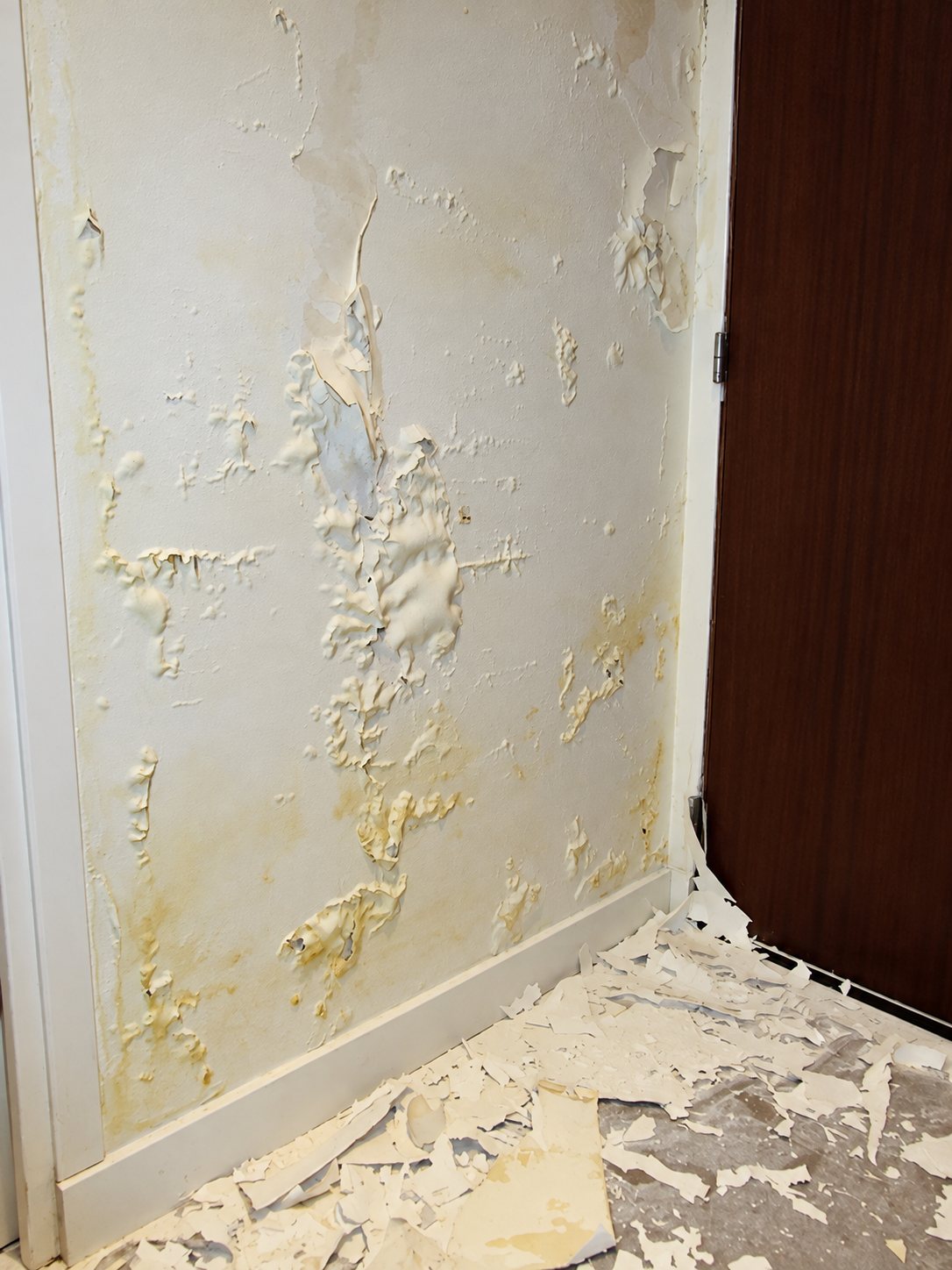 Un mur blanc d'intérieur présente de la peinture cloquée et décollée, des taches jaunâtres d'humidité et des éclats de peinture tombés sur le sol près d'une porte brune.